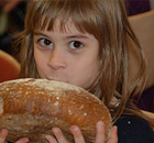 Fotogalerie Berufsorientierung